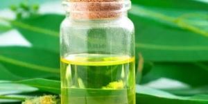 Eucalyptus Oil