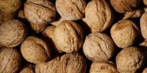 Dry Whole Walnuts