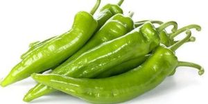 Green Chilli Pepper