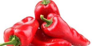 Red Chilli Pepper
