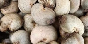 Raw Cashew Nuts