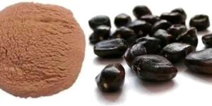 Tamarind Seed Powder
