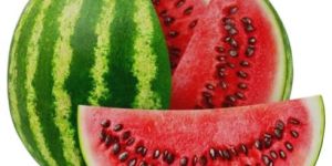 A Grade Green Watermelon