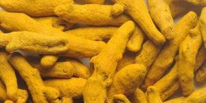 Turmeric Finger
