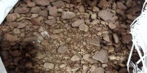 Mustard Rapeseed De Oile Granules