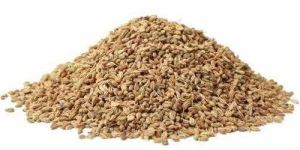 Carom Seeds