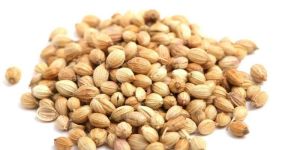 Coriander Seeds