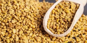 Fenugreek Seeds