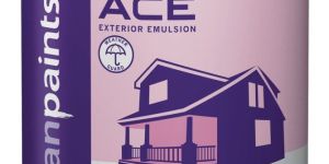 20L Asian Paints Exterior Paint