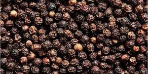 Natural Black Pepper Seeds