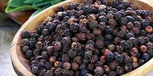Raw Black Pepper Seeds
