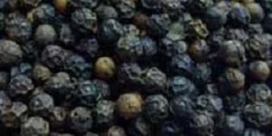 Whole Black Pepper Seeds