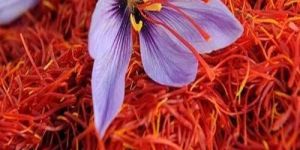 Kashmiri Saffron