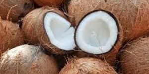 Brown Coconut