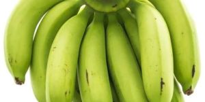 Fresh Green Banana