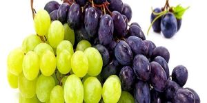 Fresh Grapes
