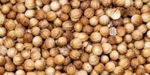 Coriander Seeds