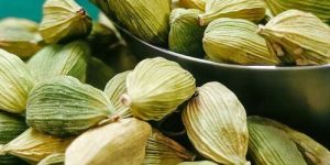 premium grade green cardamom whole