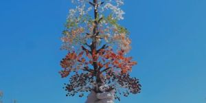 Multicolor Copper 5000 Beads 7 Chkra Gemstone Tree