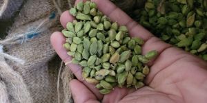 8mm Plus Green Cardamom