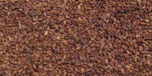 Brown Sesame Seeds