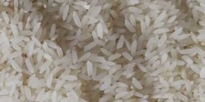 Sona Masuri Steam Rice