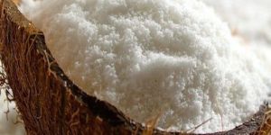 Desiccated Coconut Powder