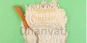 Guar Gum Powder