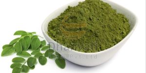 Moringa Leaves Powder