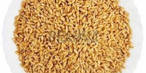 a Grade Wheat Grain
