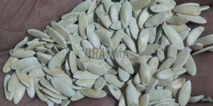 White Muskmelon Seeds