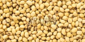 Natural Soybean Seeds