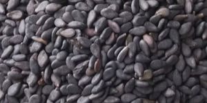 Natural Black Sesame Seed