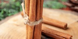 Brown Cinnamon Stick