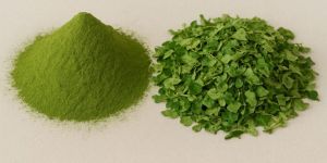 Natural Moringa Leaves Powder