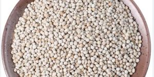 Cold Pressed Organic Perilla Seeds