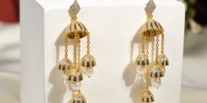 Women The Embellished Radiance Earrings