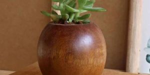 Round Wooden Flower Pot