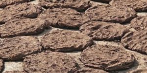 Cow Dung Cake