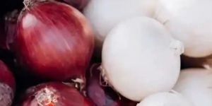FRESH WHITE AND RED ONION