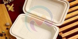 Bagasse Food Containers