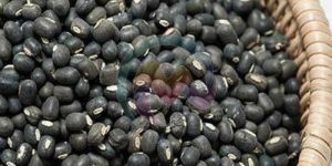 Black Urad Beans