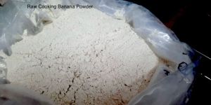 Dehydrated Green Banana Powder