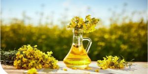 Cold Pressed Rapeseed Edible Oil