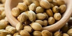 Coriander Seeds