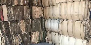 Occ 11 Waste Paper Scraps