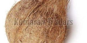 Brown Husked Coconut