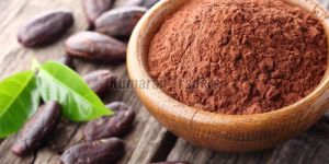 Organic Brown Coco Powder
