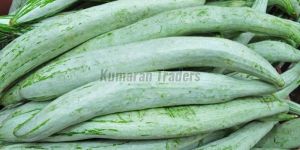 Organic Green Snake Gourd