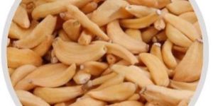 Dehydrated Garlic Flakes